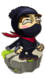 Maze Ninja Maze Ninja